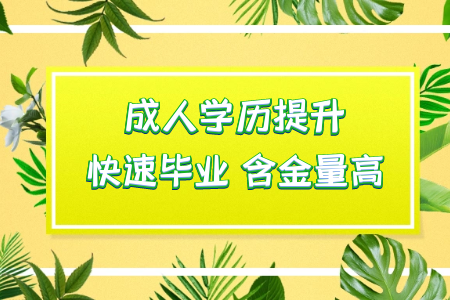 專升本有哪些大學