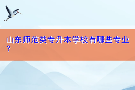 山東師范類專升本學(xué)校有哪些專業(yè)？