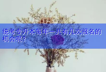 統(tǒng)考專升本每年一共有幾次報名的機會呢？