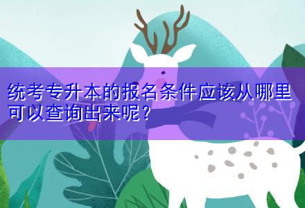 統(tǒng)考專升本的報(bào)名條件應(yīng)該從哪里可以查詢出來(lái)呢？