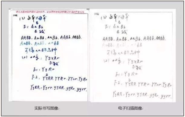 專升本考試答題中常見的錯(cuò)誤及應(yīng)對(duì)措施 專升本考試答題中常見的錯(cuò)誤及應(yīng)對(duì)措施