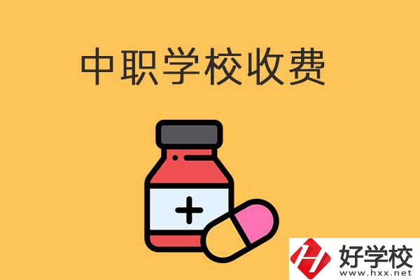 衡陽的中職學校怎么收費的？費用貴不貴？