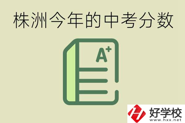 株洲今年中考多少分能上高中？沒考上有什么選擇？