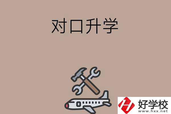 職高學(xué)生參加湖南省對口升學(xué)，有什么本科可以報考？
