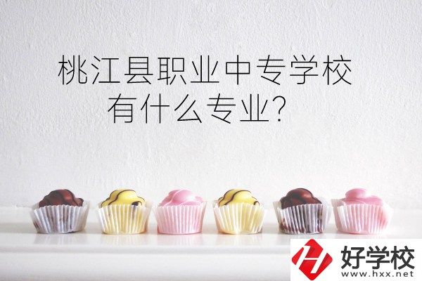 桃江縣職業(yè)中專(zhuān)學(xué)校到底好不好？有什么專(zhuān)業(yè)？