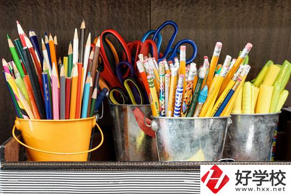 在懷化有什么職?？梢詫W習幼師？好不好？