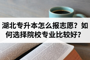 湖北省專升本怎么報志愿？如何選擇填報院校專業(yè)比較好？