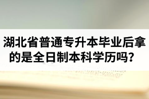 湖北省普通專升本畢業(yè)后拿的是全日制本科學(xué)歷嗎？