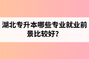 湖北專升本哪些專業(yè)就業(yè)前景比較好？