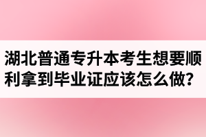 湖北普通專升本考生想要順利拿到畢業(yè)證應(yīng)該怎么做？