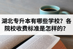湖北專(zhuān)升本有哪些學(xué)校？各院校收費(fèi)標(biāo)準(zhǔn)是怎樣的？