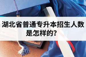 湖北省普通專升本招生人數(shù)是怎樣的？