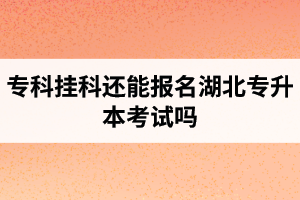 ?？茠炜七€能報(bào)名湖北專升本考試嗎？在哪里能獲取最新的專升本資訊？