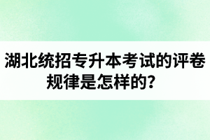 湖北統(tǒng)招專升本考試的評(píng)卷規(guī)律是怎樣的？怎么避免丟失細(xì)節(jié)分？
