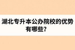 湖北專升本公辦院校的優(yōu)勢有哪些？為什么大家都想報(bào)公辦學(xué)校？