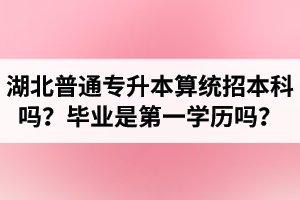 湖北普通專升本算統(tǒng)招本科嗎？專升本學歷是第一學歷嗎？