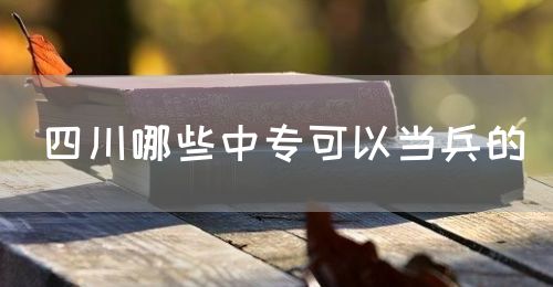 四川哪些中?？梢援?dāng)兵的(圖1)