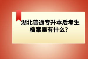 湖北普通專升本后考生檔案里有什么？