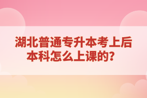 湖北普通專升本考上后本科怎么上課的？