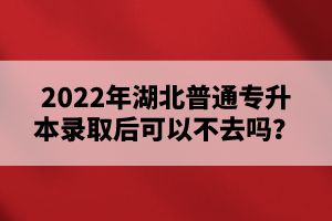 2022年湖北普通專升本錄取后可以不去嗎？