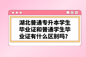 湖北普通專升本學生畢業(yè)證和普通學生畢業(yè)證有什么區(qū)別嗎？