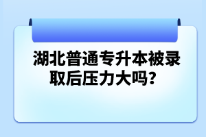湖北普通專升本被錄取后壓力大嗎？