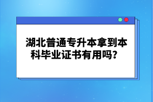 湖北普通專升本拿到本科畢業(yè)證書有用嗎？