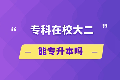 ?？圃谛４蠖軐Ｉ締? /></p><p style=