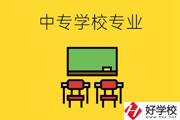 湖南的中專學校有哪些專業(yè)好就業(yè)？