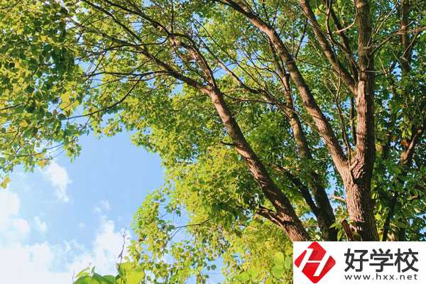 衡陽南華科技學(xué)校教學(xué)質(zhì)量怎么樣？