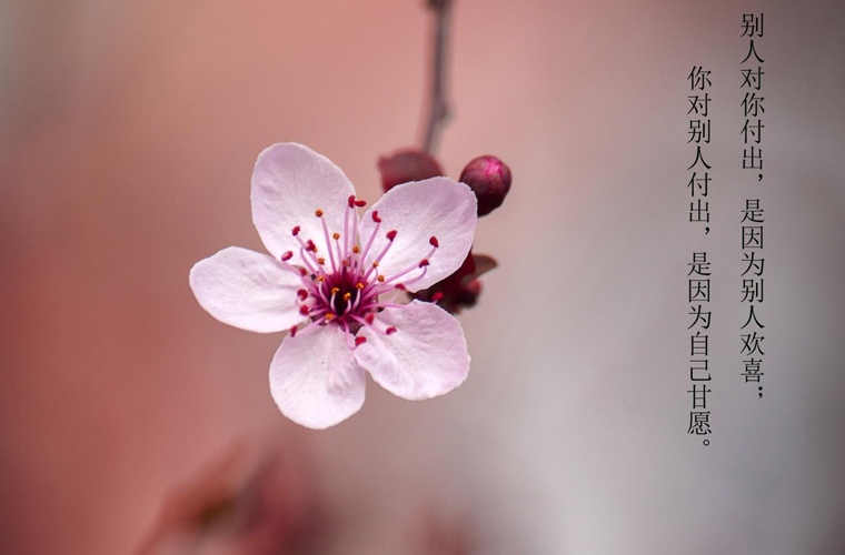 寧德藝術(shù)設計學校