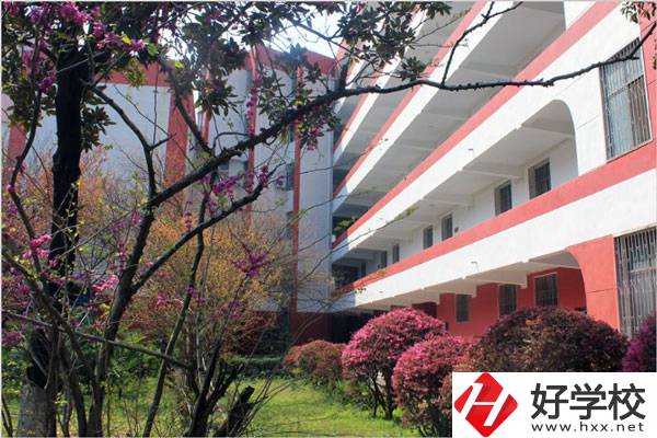 婁底有哪些技校？哪一所比較好？