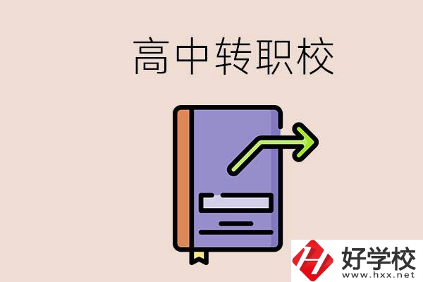 有在讀高中不想讀轉(zhuǎn)職校的例子嗎？能轉(zhuǎn)到湖南職校嗎？