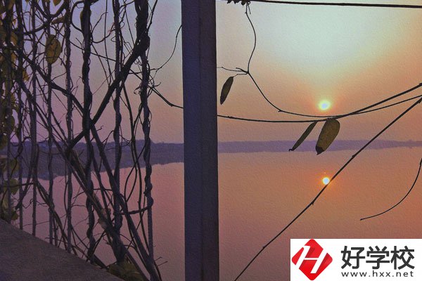 張家界的中職學(xué)校學(xué)什么專業(yè)好？哪些專業(yè)前景佳？