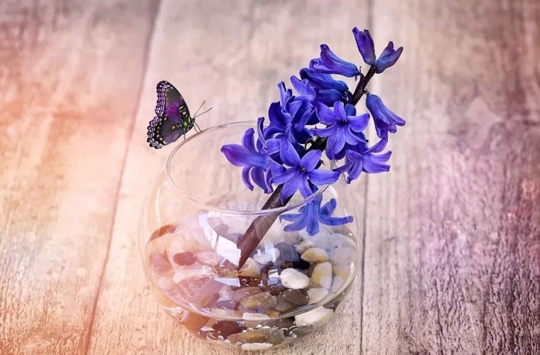 銅仁幼兒師范高等?？茖W校