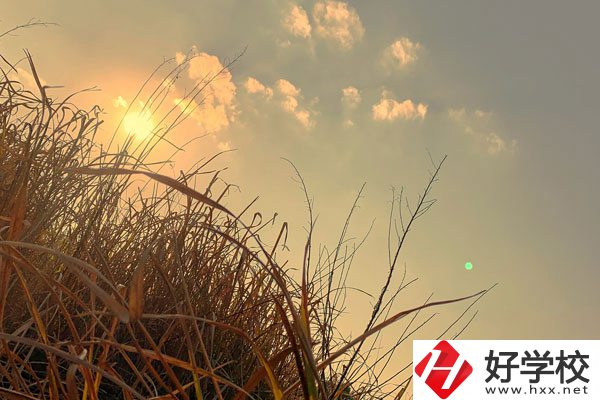 衡陽市瀟湘衛(wèi)生中等專業(yè)學(xué)校宿舍環(huán)境以及食堂怎么樣？