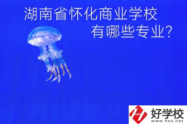 湖南省懷化商業(yè)學(xué)校好不好？有哪些專業(yè)？