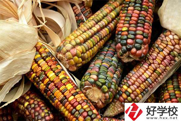 岳陽中職學校哪些專業(yè)好？有什么學校推薦？