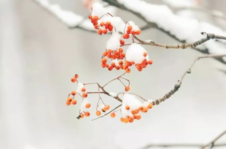 黔南藝術(shù)設(shè)計學校