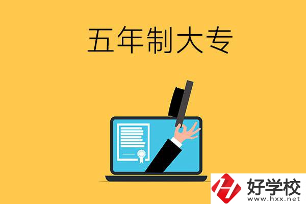 湖南有哪些比較好的五年制大專學(xué)校？看看這4所！
