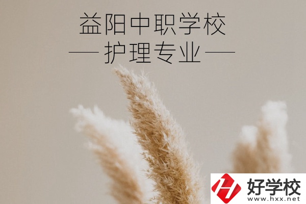 益陽護理專業(yè)的中職學(xué)校有哪些？需要哪些要求？