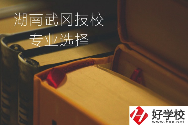 湖南武岡技校怎么樣？有哪些專業(yè)可以選擇？