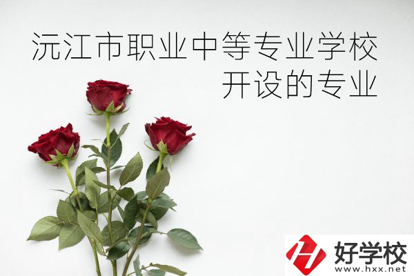 沅江市職業(yè)中等專業(yè)學(xué)校怎么樣？開設(shè)哪些專業(yè)？