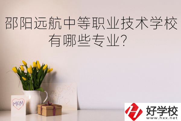 邵陽遠(yuǎn)航中等職業(yè)技術(shù)學(xué)校有哪些專業(yè)？