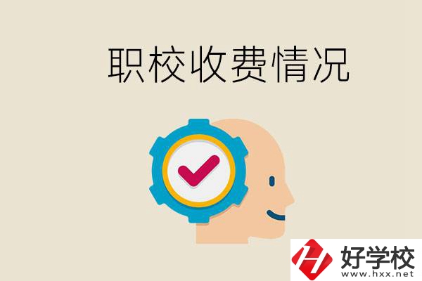 湖南的職校是怎么收費的？民辦學(xué)校一年學(xué)費要多少？