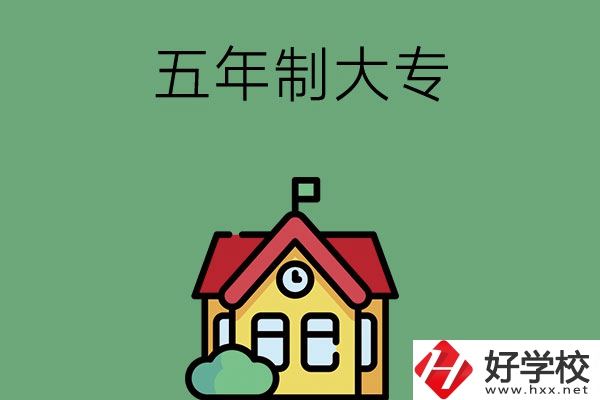 常德有可以招收初中畢業(yè)生的五年制大專院校嗎？