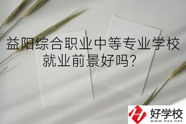 益陽(yáng)綜合職業(yè)中等專(zhuān)業(yè)學(xué)校如何？就業(yè)前景好嗎？