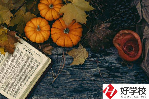 臨湘市職業(yè)中專開設哪些熱門專業(yè)？有哪些就業(yè)方向？