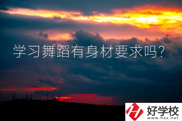 懷化有可以學(xué)習(xí)舞蹈的中專學(xué)校嗎？有身材要求嗎？