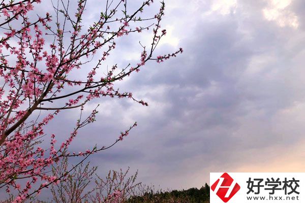 邵陽市瀟湘中等職業(yè)技術學校怎么樣？收費標準如何？